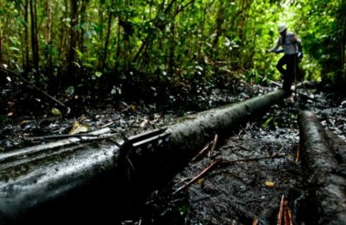 proyectop_article_2fbf487018cee201d877f0533b6f6122_jpg_1000x665_100_6279