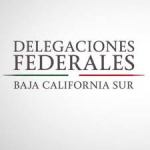 Delegaciones federales.jpg