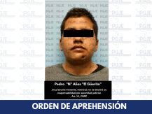 pedro N Güerito.png