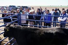 PRINCIPAL CMD_APOYOS  (1).jpeg