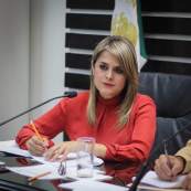 fernanda villareal g