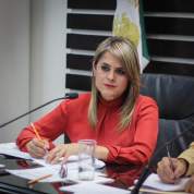 fernanda villareal g