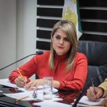 fernanda villareal g.jpg