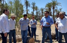 marcelo armenta jose luis perpuli