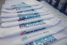 PRINCIPAL_ CMD DESPLASTIFICATE (2).jpeg