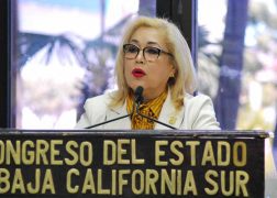 Dip.-Anita-Beltrán-700x500