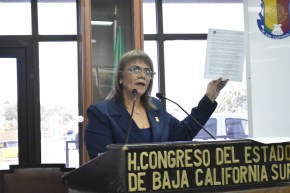 DIP ELIZABETH ROCHA 14ENE20 1.JPG