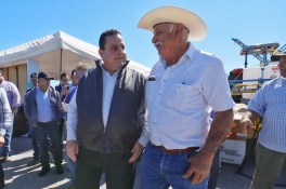 PRINCIPAL CMD_AGROPECUARIO (1)