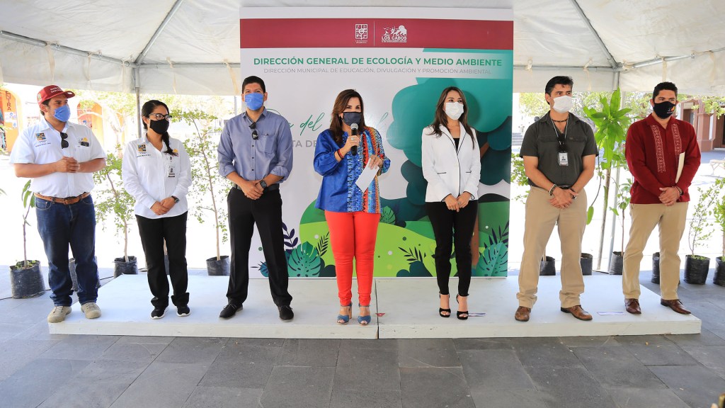 Destina alcaldesa Armida Castro 553 árboles de distintas especies para reforestar el Municipio de Los&nbsp;Cabos