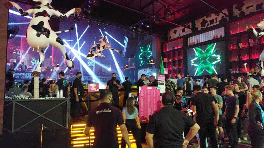 ¡No se tolera que SPRINGBREAKERS violen dispositivos&nbsp;sanitarios!