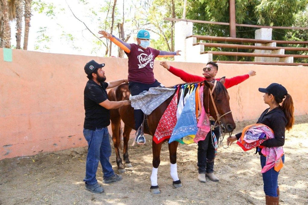 ¡En #LosCabos las equinoterapias&nbsp;gratuitas!