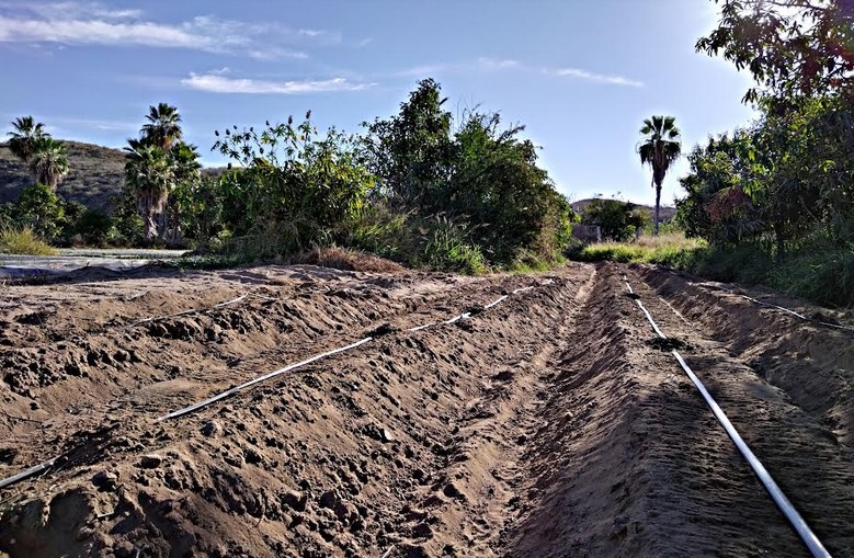 ¡Más perforaciones de pozos autorizadas para&nbsp;agricultura!
