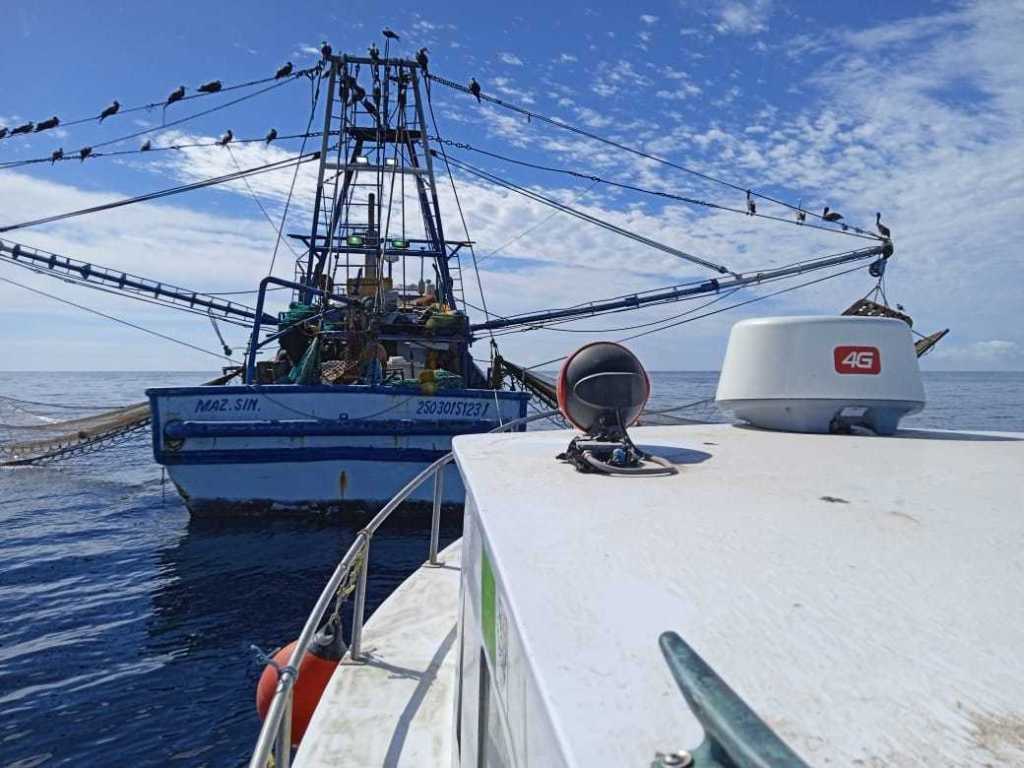 ¡Cuidar que no queden atrapadas&nbsp;tortugas!