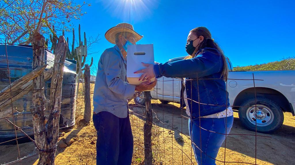 Para llegar a más beneficiados, DIF Los Cabos extiende su campaña “Cobija a una&nbsp;Familia”