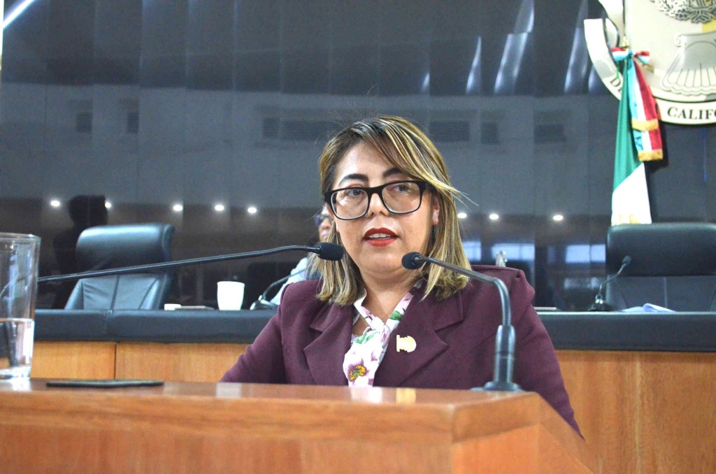 Requisito de elegibilidad, el no ser deudora o deudor alimentario moroso: diputadas Teresita Valentín y Gabriela&nbsp;Cisneros