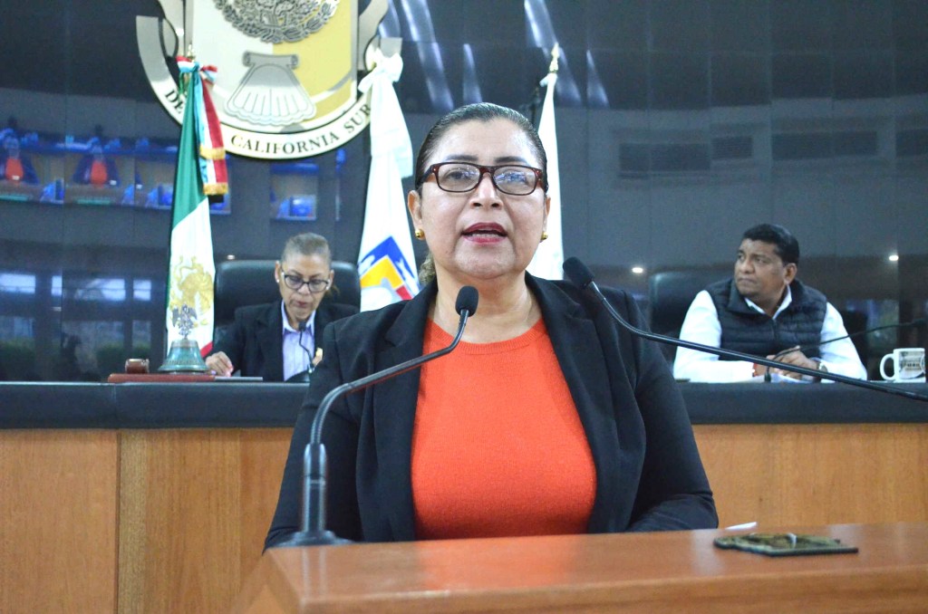 Propone diputada María Luisa Ojeda que se amplíen conductas consideradas como violencia&nbsp;administrativa