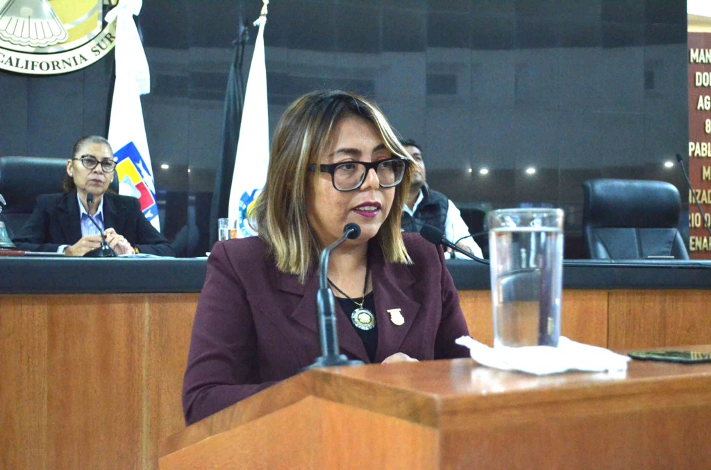 Propone diputada Teresita Valentín que se tipifique el delito de violencia obstétrica y violencia obstétrica equiparada en&nbsp;BCS