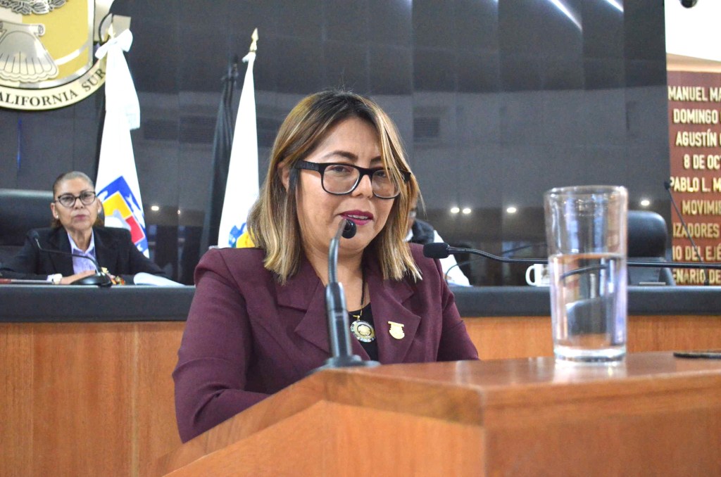 Que se incorpore señalización en Braille en aceras y rampas, propone la diputada Teresita&nbsp;Valentín