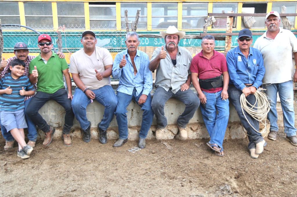 Entrega el Gobierno Municipal ganado bovino en las comunidades rurales de&nbsp;CSL