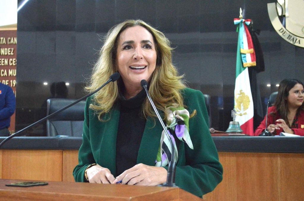 Solicita diputada Eda Palacios un programa urgente de prevención de accidentes en corredor turístico de Los&nbsp;Cabos