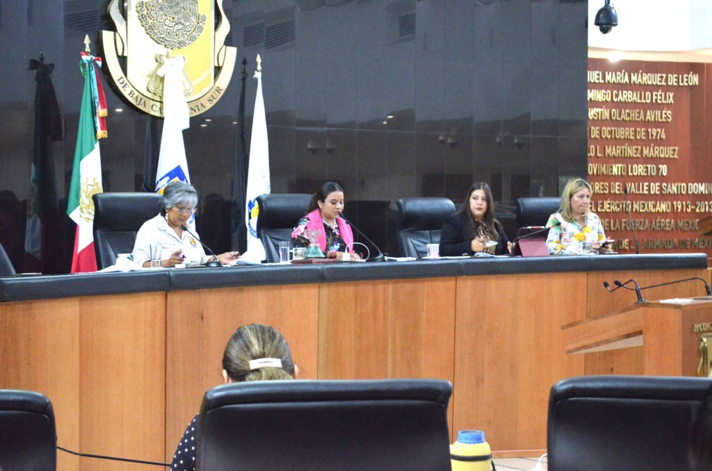 Pide iniciativa ciudadana Comisiones Permanentes acordes a las necesidades de cada&nbsp;municipio