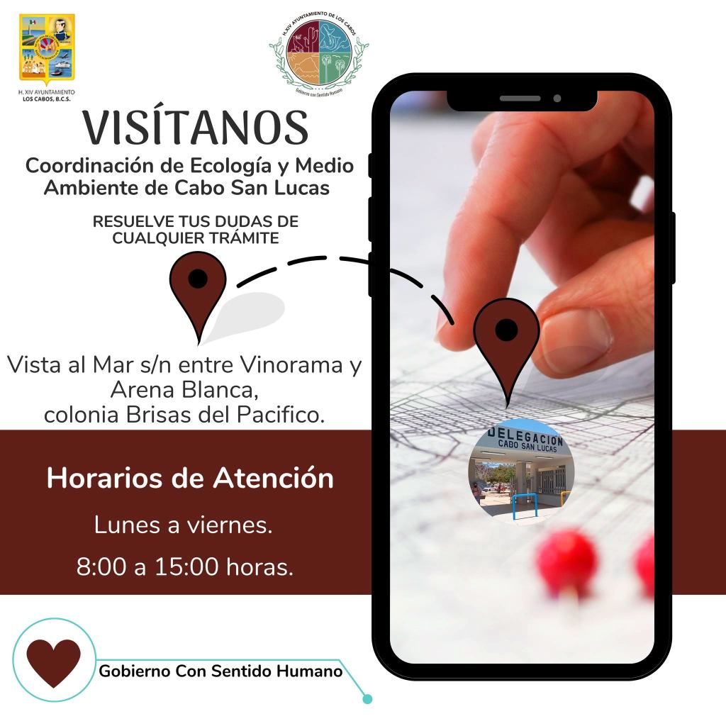 Personal de Ecología permanece vigilante de los lineamientos municipales en negocios de CSL  