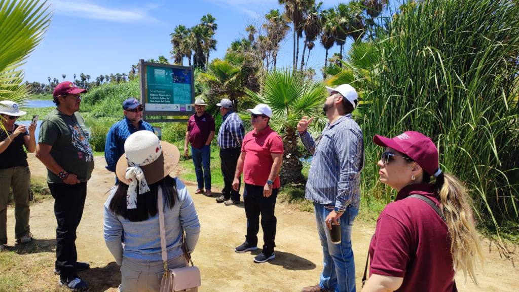 Autoridades de los tres órdenes de Gobierno evalúan el estado de la Reserva Ecológica Estatal del Estero San José del&nbsp;Cabo