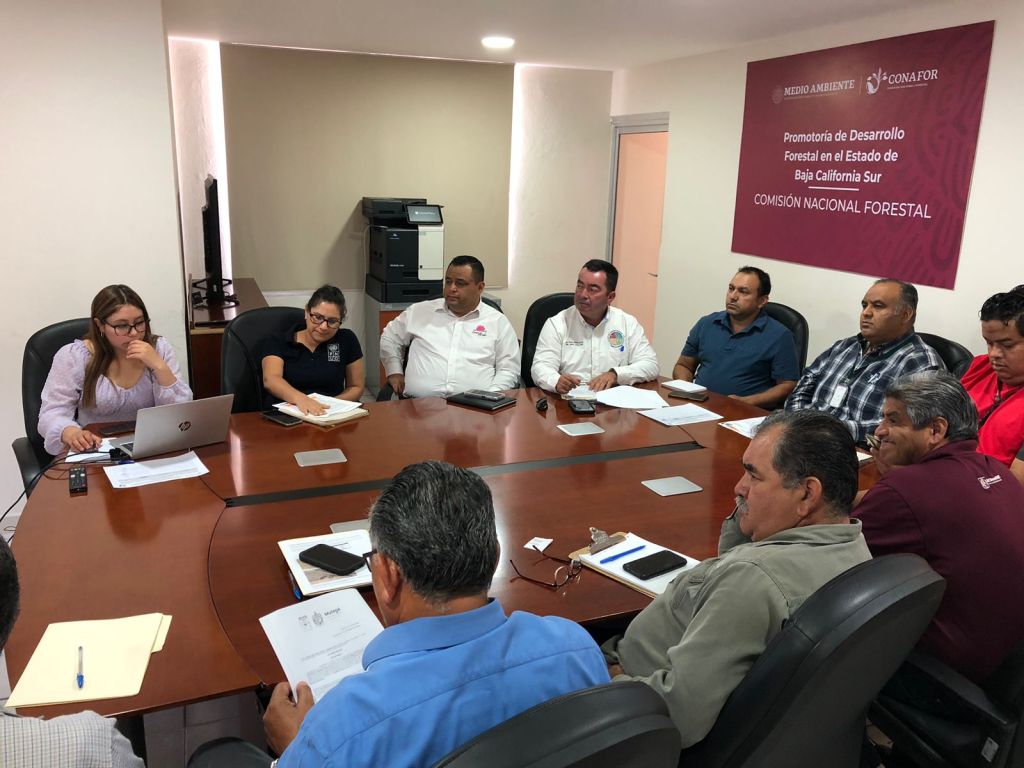 Participa Gobierno de Los Cabos en el Análisis del Cambio del Uso de Suelo y Programas de Manejo Forestal para&nbsp;B.C.S.