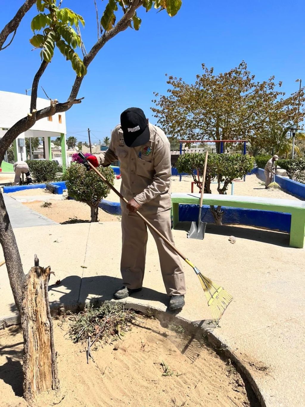 Refuerza Servicios Públicos jornada de limpieza en camellones y áreas verdes en Los&nbsp;Cabos