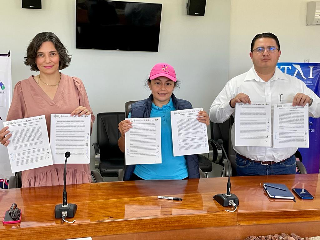 Los Cabos transparente; 1er municipio de BCS en instalar el Secretariado Técnico Local (STL) del Ejercicio de Gobierno&nbsp;Abierto