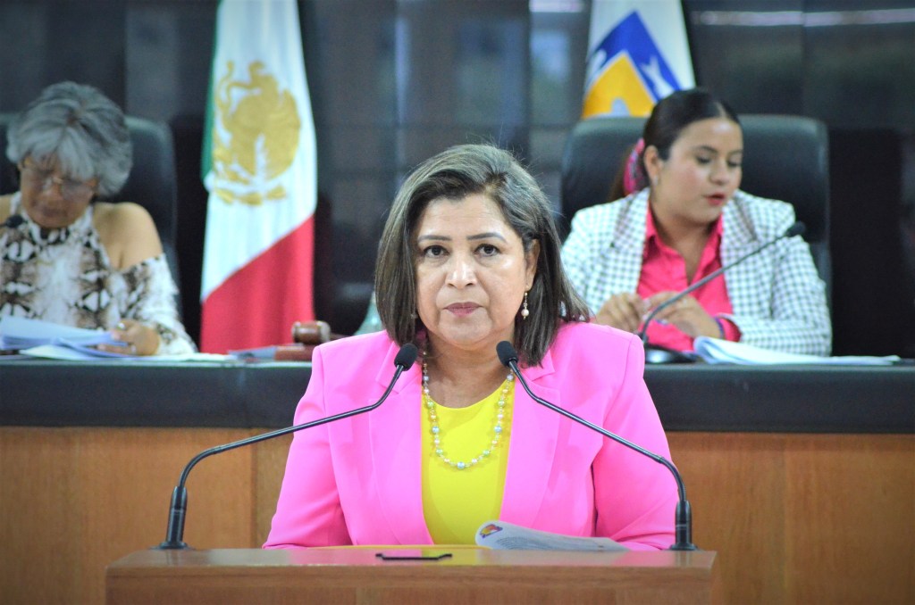 Reprueba Diputada María Luisa Ojeda iniciativa presidencial que traslada el SIPINNA a una unidad administrativa del&nbsp;DIF