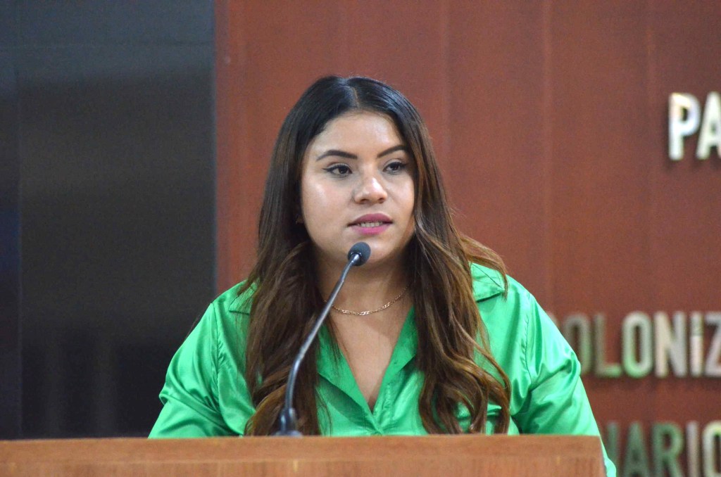 Propone la diputada Guadalupe Vázquez Jacinto se apliquen sanciones a quien cometa el delito de Enriquecimiento&nbsp;Ilícito