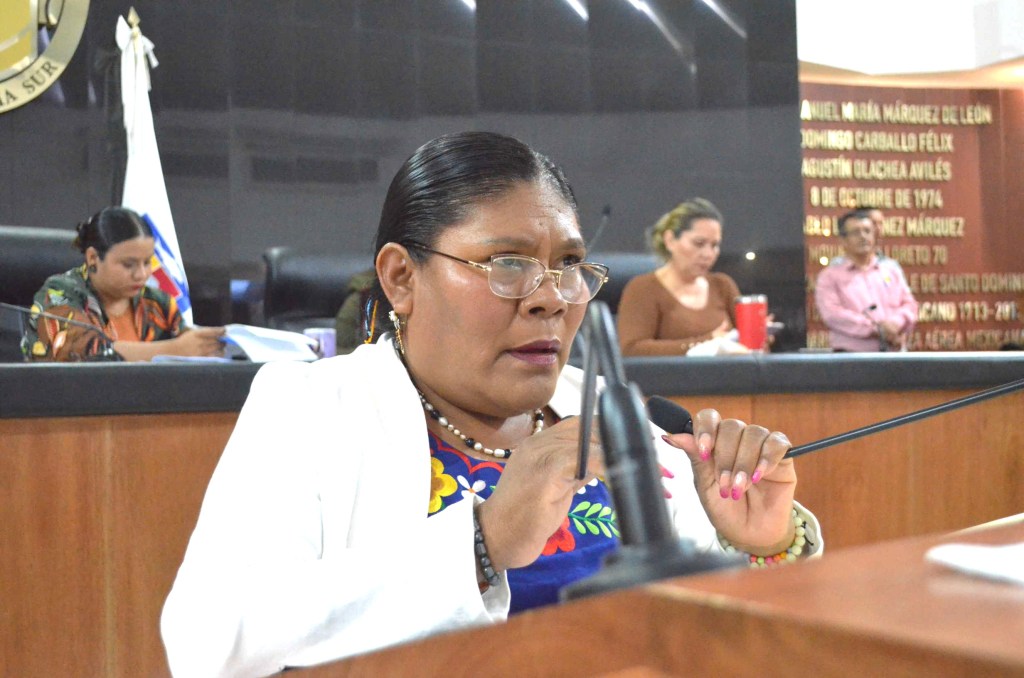 Se pronunció la Diputada Eufrocina López Velasco en favor de los derechos de las personas indígenas trabajadoras del&nbsp;campo