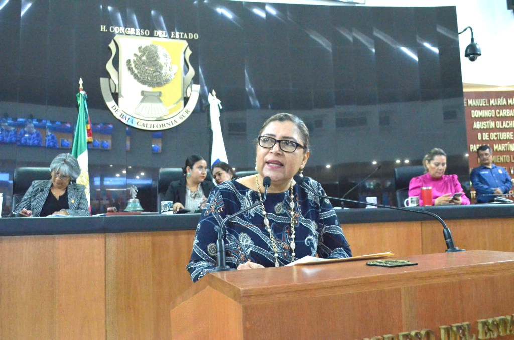 Que en BCS siga siendo la libertad de expresión para todas y todos: diputada María Luisa Ojeda&nbsp;González