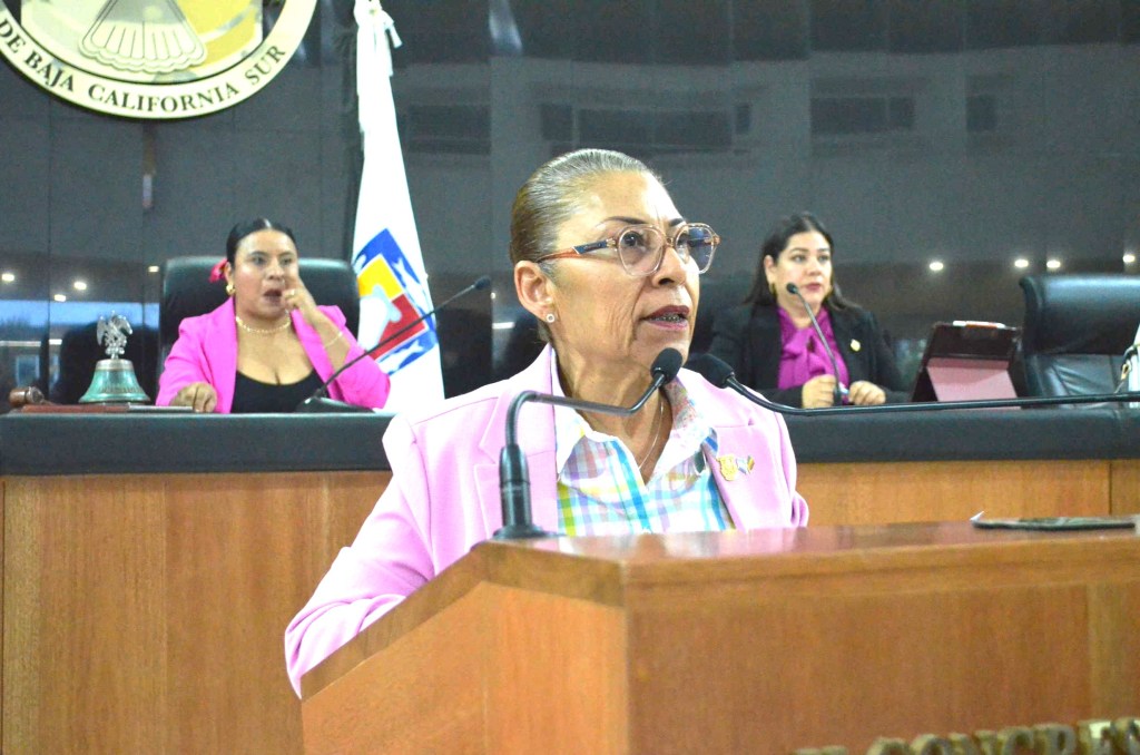 Dan a conocer integrantes del 1er Parlamento Sudcaliforniano de la Diversidad&nbsp;Sexual