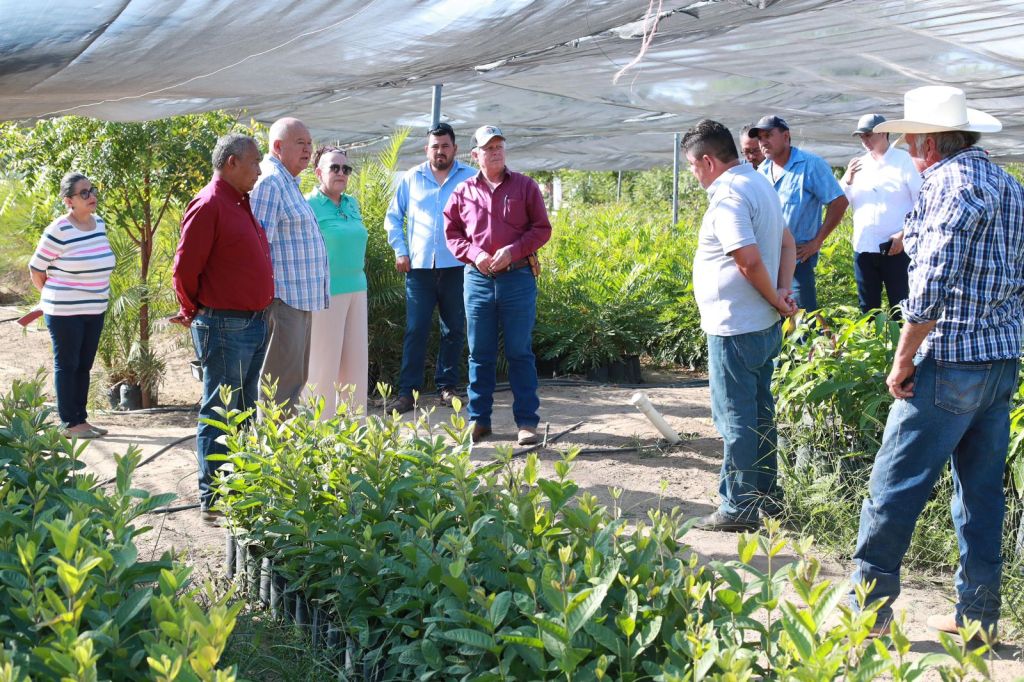 RECONOCE GOBERNADOR VCC, ALTA PRODUCTIVIDAD DEL&nbsp;CEPROVEG