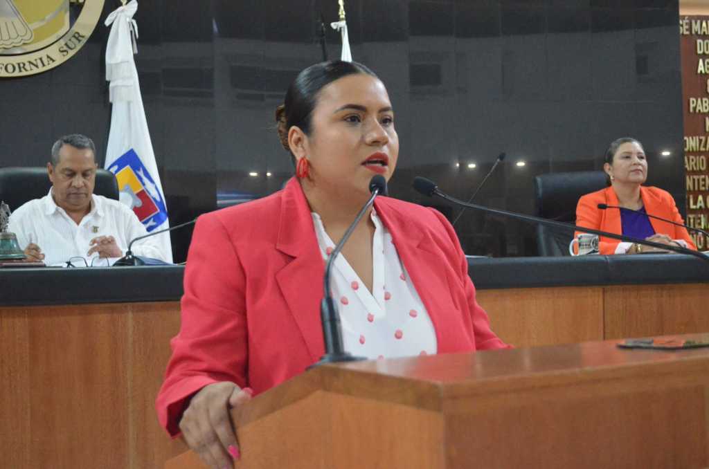 Propone la Diputada Guadalupe Vázquez Jacinto reformas a la Ley Estatal de Desarrollo Urbano en materia de urbanización y&nbsp;videovigilancia