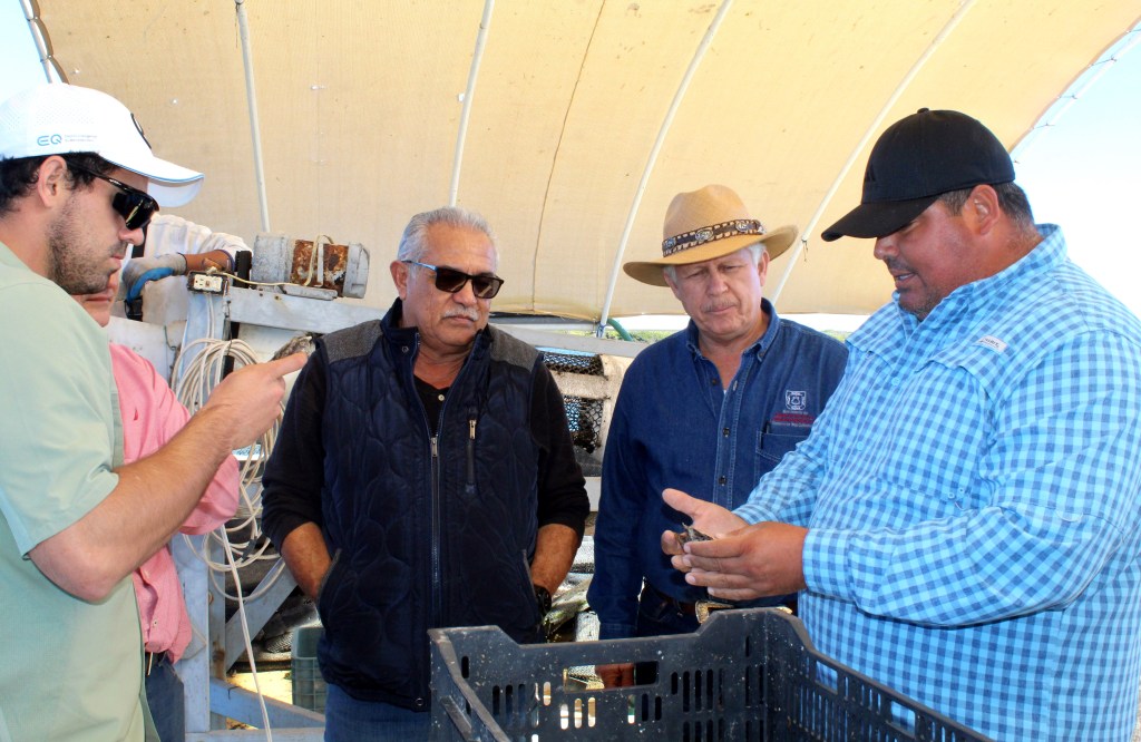 PRODUCE MULEGÉ, 50 MIL DE LAS 147 MIL TONELADAS DE PESQUERÍA DE&nbsp;BCS