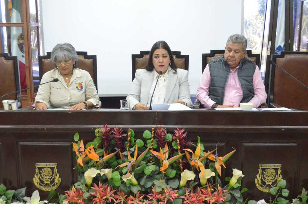 Del 01 al 08 de febrero será la recepción de los documentos de aspirantes a Comisionada o Comisionado del ITAIBCS 