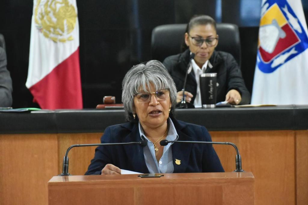 Salario mínimo ha incrementado 113% de 2019 a 2024: Diputada María Luisa&nbsp;Trejo