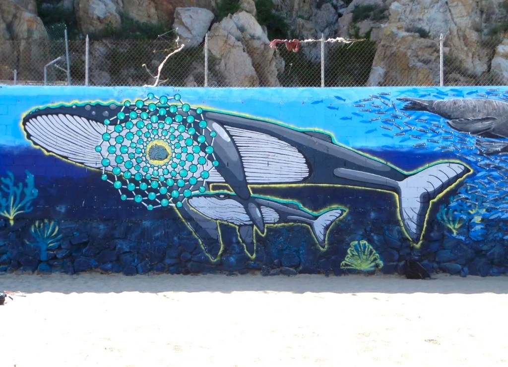 El Gobierno de Los Cabos se sumará al proyecto de arte voluntario de Alan Isac Hernández&nbsp;Jiménez.