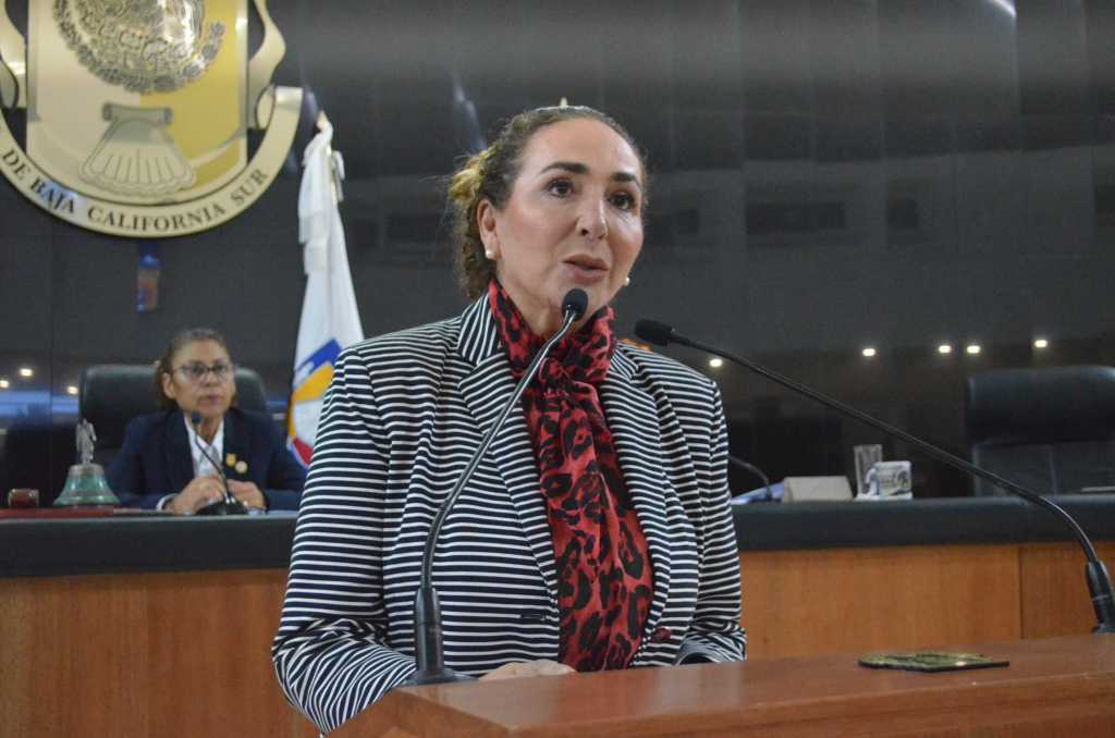 Propone Diputada Eda Palacios fortalecer la figura del Registro Gratuito del Patrimonio&nbsp;Familiar