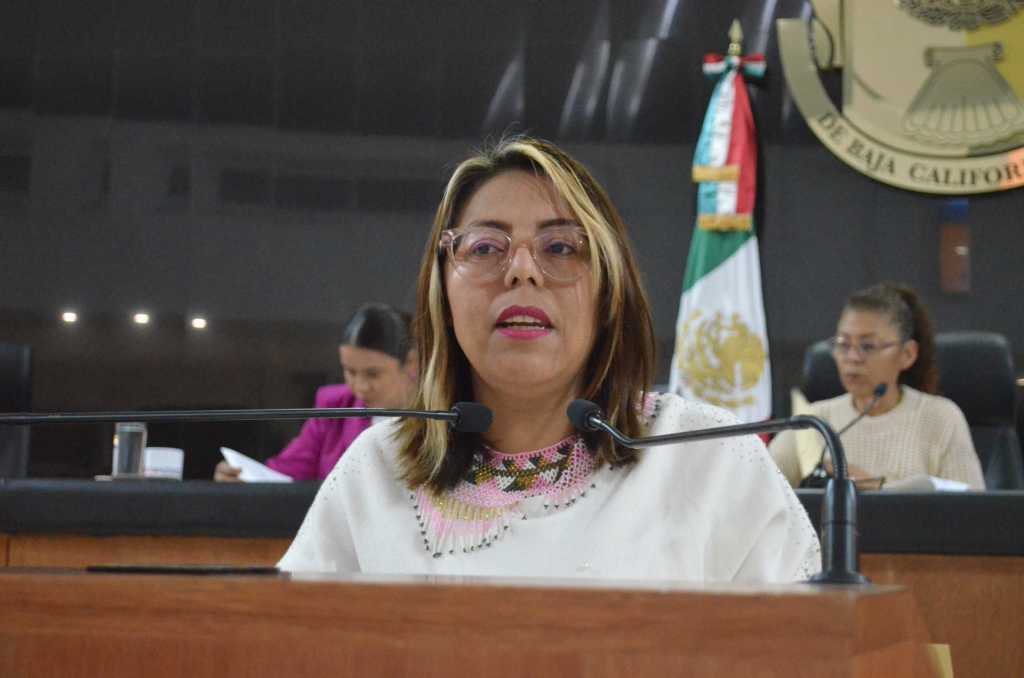 Llaman a la titular de SEMARNAT a otorgar permisos a usuarios para el avistamiento de&nbsp;ballenas