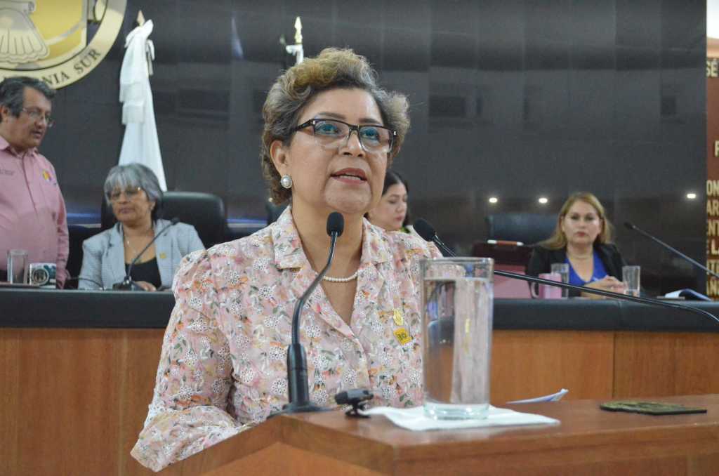 Que no prescriban delitos de índole sexual: Diputada María Luisa Ojeda&nbsp;González