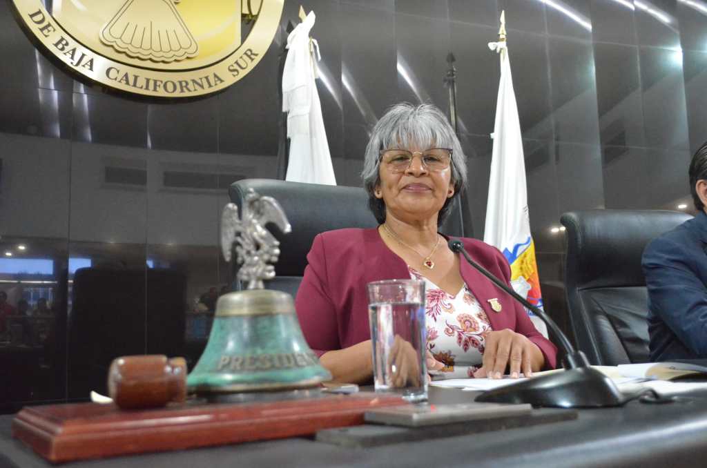 Llama presidenta del Congreso a sus homólogos a actuar con responsabilidad y ética&nbsp;política