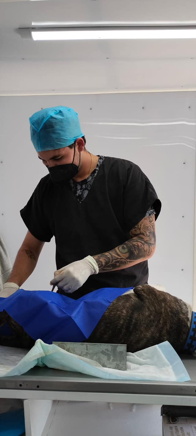 El equipo de la Dirección Municipal de Salud en Los Cabos informó que continúan con las campañas de esterilización canina y felina en las diferentes colonias del&nbsp;municipio.