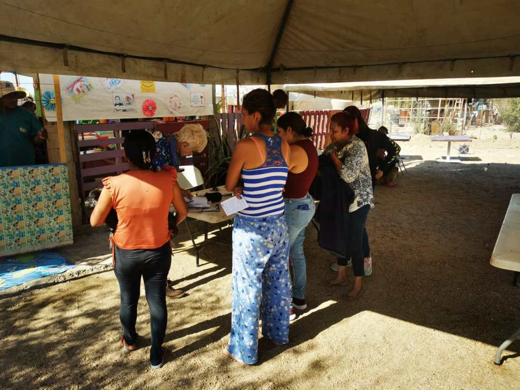 Se dio seguimiento a la calendarización de Campañas de Esterilización Canina y Felina, atendiendo a Cabo San Lucas, San José del Cabo y la zona&nbsp;rural.