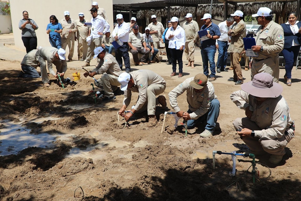 El Organismo Operador Municipal del Sistema de Agua Potable, Alcantarillado y Saneamiento, continúa trabajando para mejorar la atención que se brinda a la&nbsp;ciudadanía.
