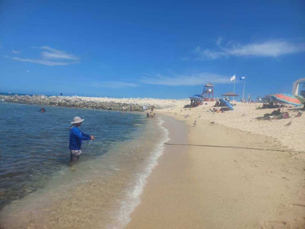 El equipo de certificación de playas llevó a cabo muestreo en el corredor turístico de San José del Cabo y Cabo San&nbsp;Lucas.
