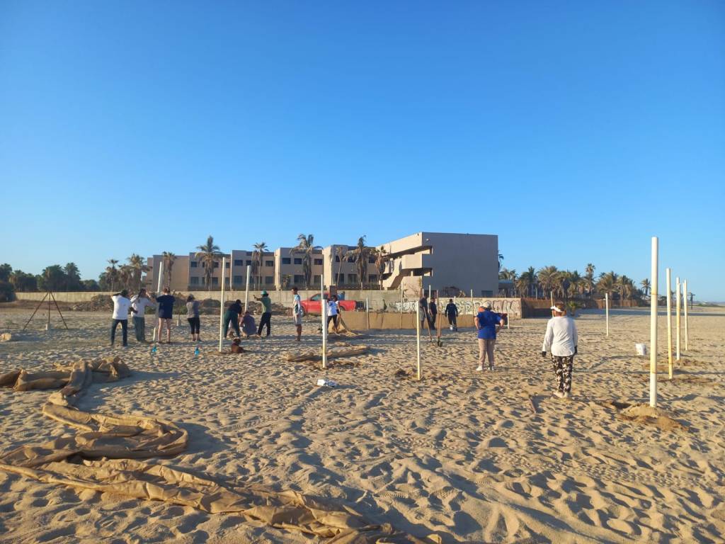 Se realizó la reubicación del corral de incubación de tortugas marinas instalado frente al conocido hotel El Presidente en San José del&nbsp;Cabo.